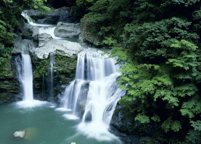 骑士后卫塞克斯顿因伤将无限期缺阵，他的伤势严重吗？游戏画面