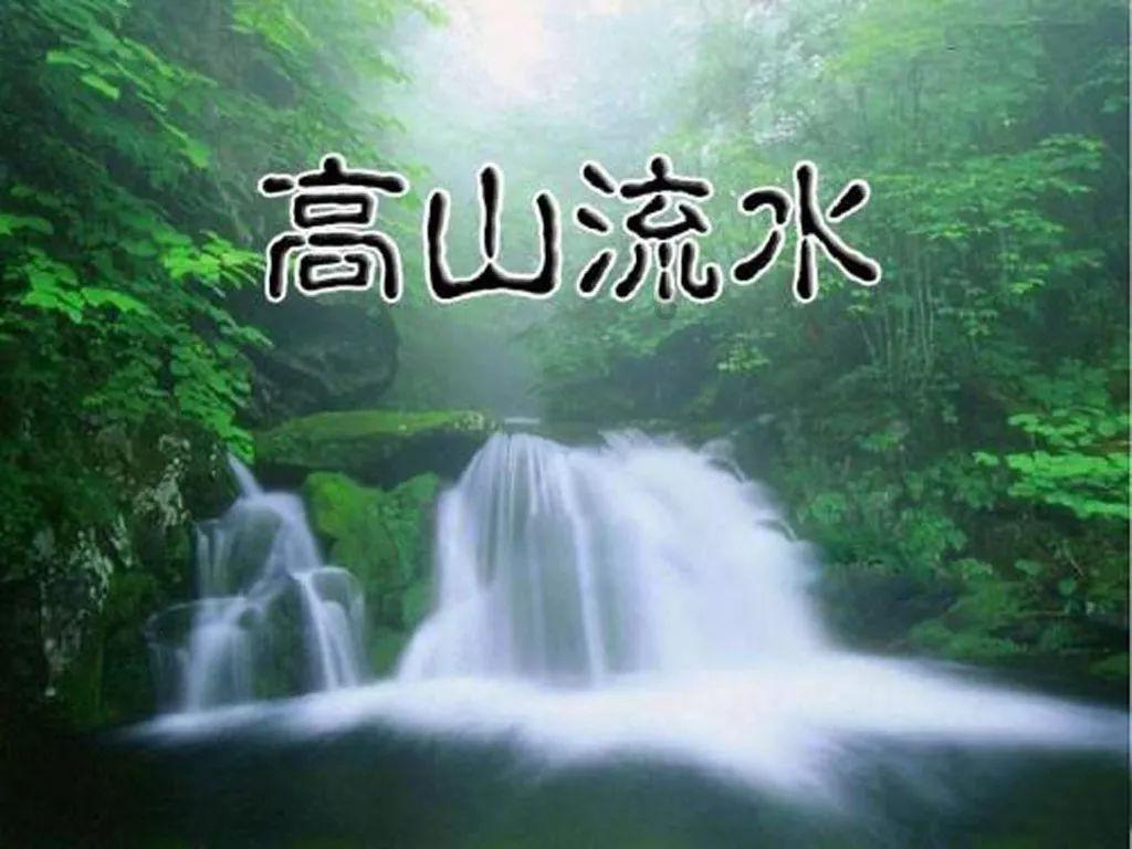 舞熊森林逃生